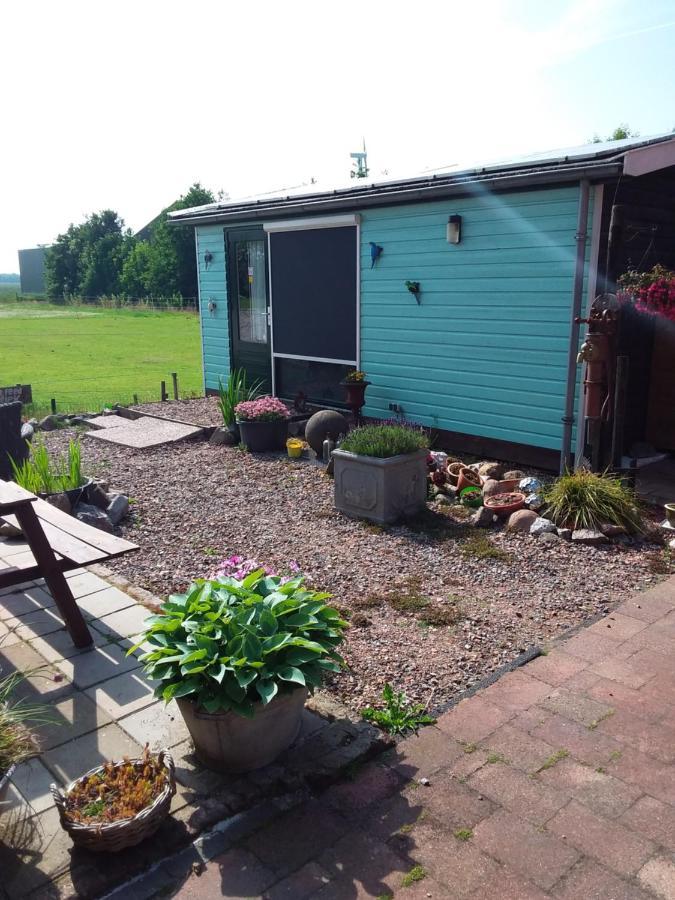 Bed and Breakfast Betty'S Tiny House Wieringerwerf Zewnętrze zdjęcie